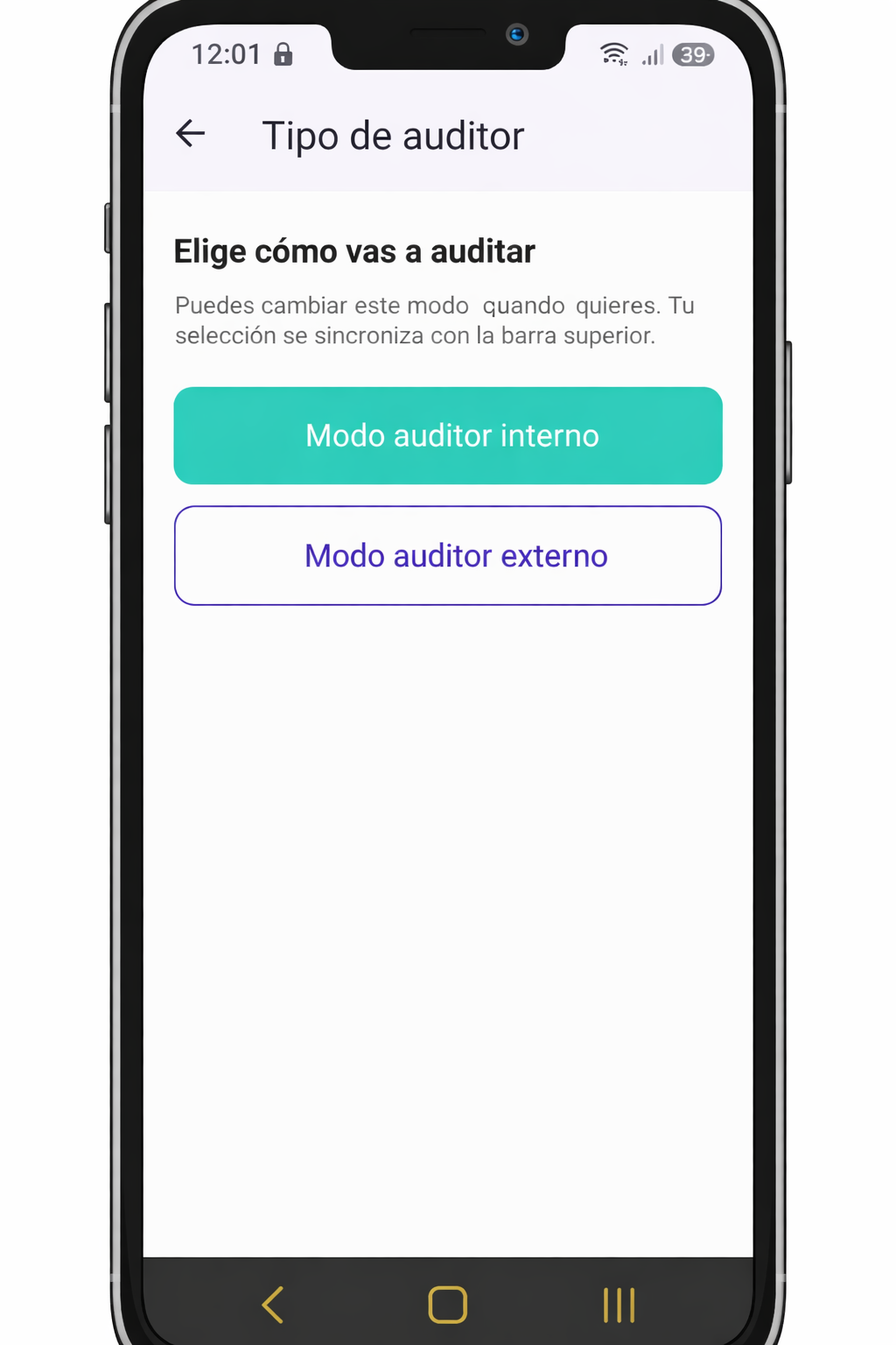 Captura del modo auditor interno y externo